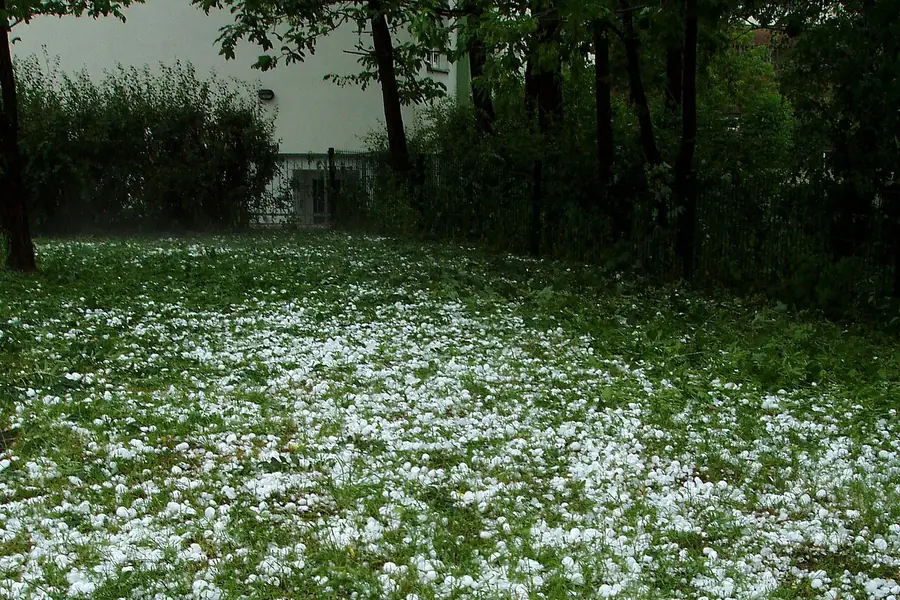 Backyard of a home blanketed in hailstones right after a hail storm