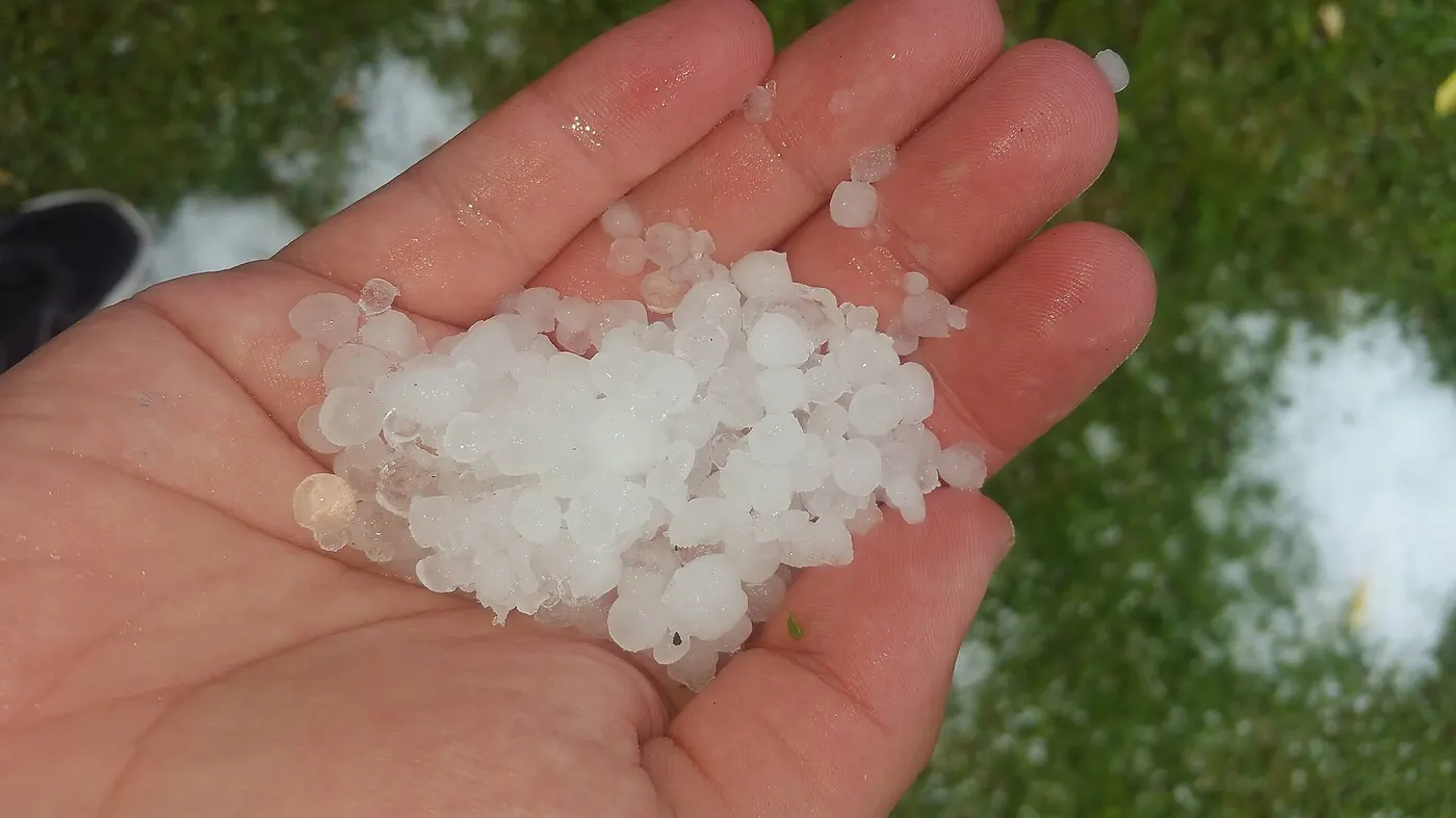 Large hailstones on the ground after a storm